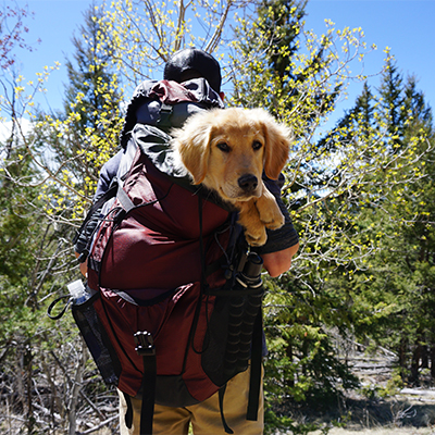 Discover Stockholm's outdoor life