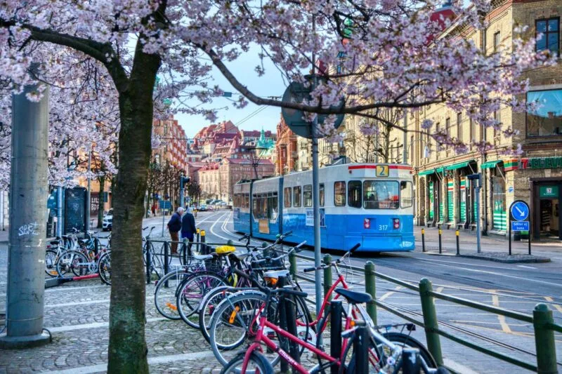 Spårvagn vid Järntorget i Göteborg med cyklar i förgrunden och blommande körsbärsträd.
