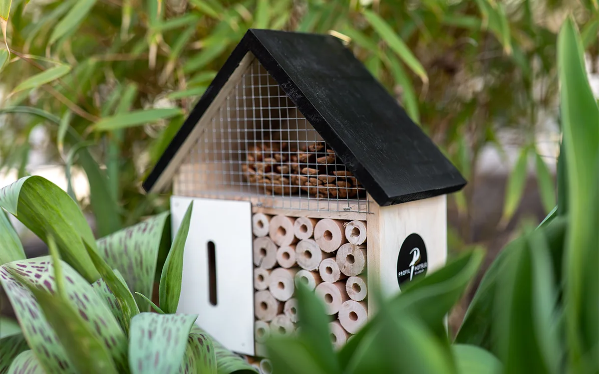 Insekthotel i træ placeret blandt grønne planter.